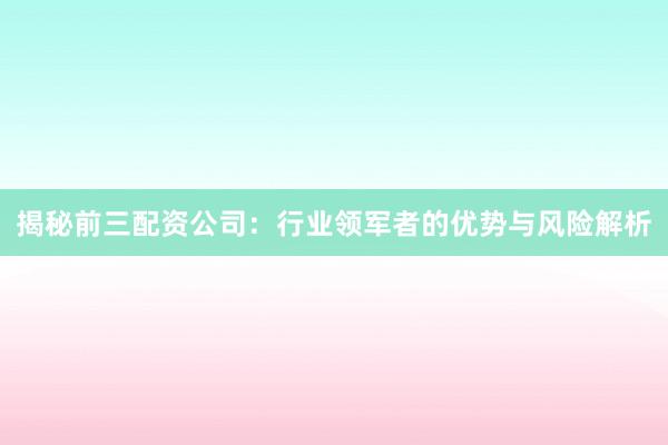 揭秘前三配资公司：行业领军者的优势与风险解析
