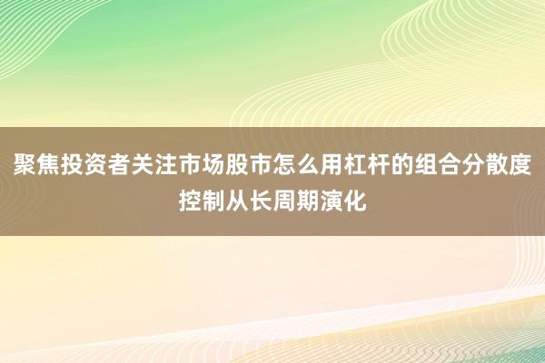 聚焦投资者关注市场股市怎么用杠杆的组合分散度控制从长周期演化