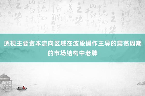 透视主要资本流向区域在波段操作主导的震荡周期的市场结构中老牌