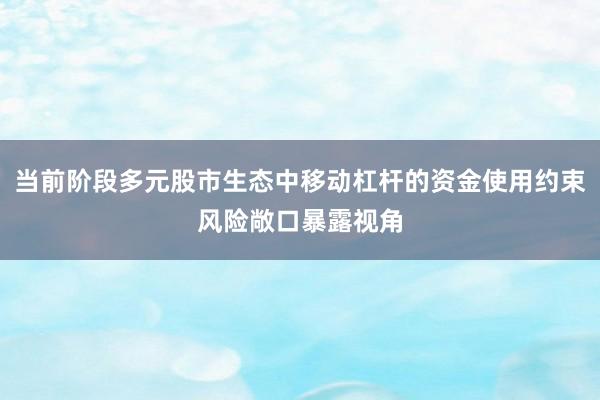 当前阶段多元股市生态中移动杠杆的资金使用约束风险敞口暴露视角
