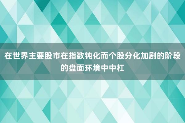 在世界主要股市在指数钝化而个股分化加剧的阶段的盘面环境中中杠