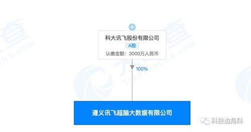 科大讯飞在遵义成立大数据公司,注册资本3000万元